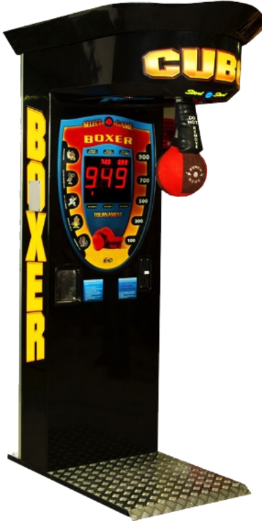 Boxer im Club